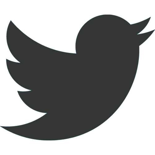 Twitter Bird